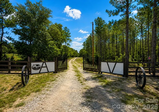 Photo 5 of Land for sale at 3203 Landfill Rd, Mount Croghan, SC 29727 | MLS# 4415817 | Listing updated on 2026-08-20