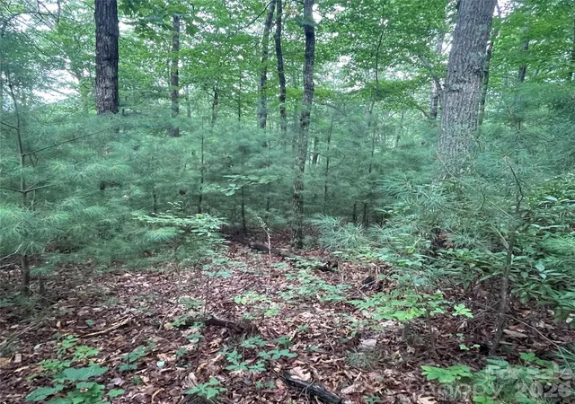 Photo 1 of Land for sale at 0 Mulberry Div, Zirconia, NC 28790 | MLS# 4415836 | Listing updated on 2026-08-18