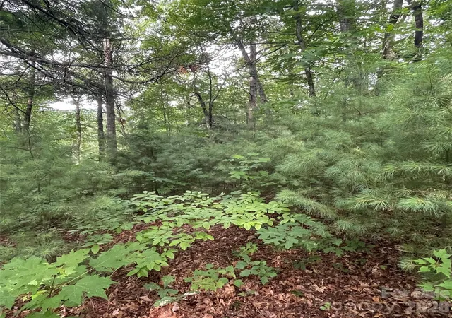 Photo 2 of Land for sale at 0 Mulberry Div, Zirconia, NC 28790 | MLS# 4415836 | Listing updated on 2026-08-18