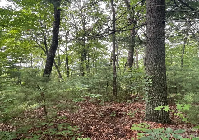 Photo 3 of Land for sale at 0 Mulberry Div, Zirconia, NC 28790 | MLS# 4415836 | Listing updated on 2026-08-18