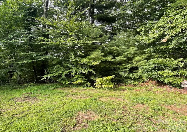 Photo 3 of Land for sale at 0 Mulberry Div, Zirconia, NC 28790 | MLS# 4415836 | Listing updated on 2026-08-18