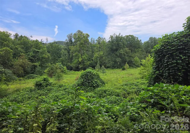 Photo 3 of Land for sale at 6059 Mount Zion Rd, Ferguson, NC 28624 | MLS# 4415839 | Listing updated on 2026-08-18