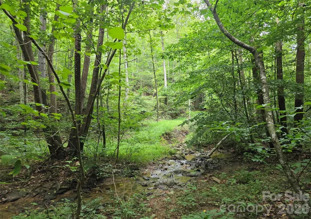 Photo 4 of Land for sale at 6059 Mount Zion Rd, Ferguson, NC 28624 | MLS# 4415839 | Listing updated on 2026-08-18