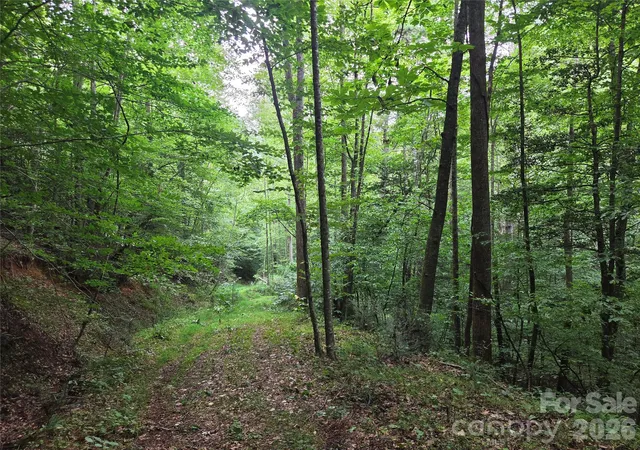 Photo 5 of Land for sale at 6059 Mount Zion Rd, Ferguson, NC 28624 | MLS# 4415839 | Listing updated on 2026-08-18