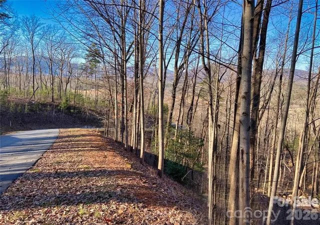 1st image of Lot 114 High Pines Loop, Lake Lure, NC 28746 | MLS# 4415964