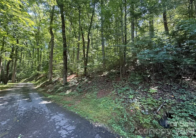 4th image of Lot 114 High Pines Loop, Lake Lure, NC 28746 | MLS# 4415964