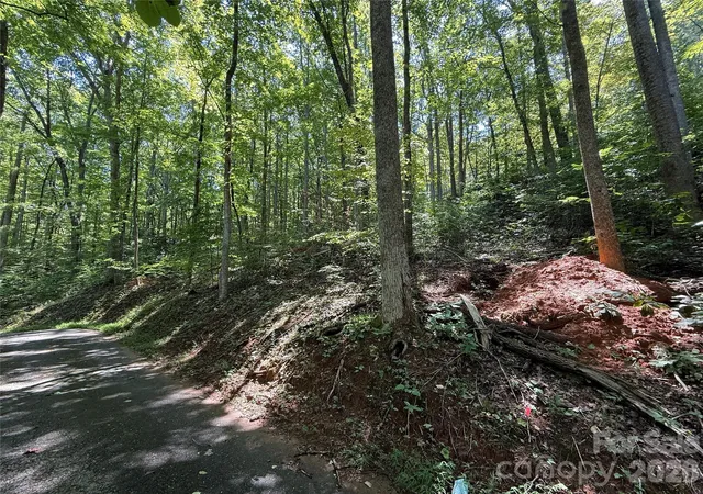 5th image of Lot 114 High Pines Loop, Lake Lure, NC 28746 | MLS# 4415964