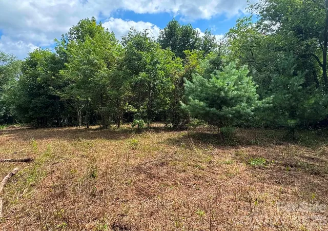 Photo 4 of Land for sale at Tbd Wind Ridge Rd, Sparta, NC 28675 | MLS# 4416014 | Listing updated on 2026-08-18