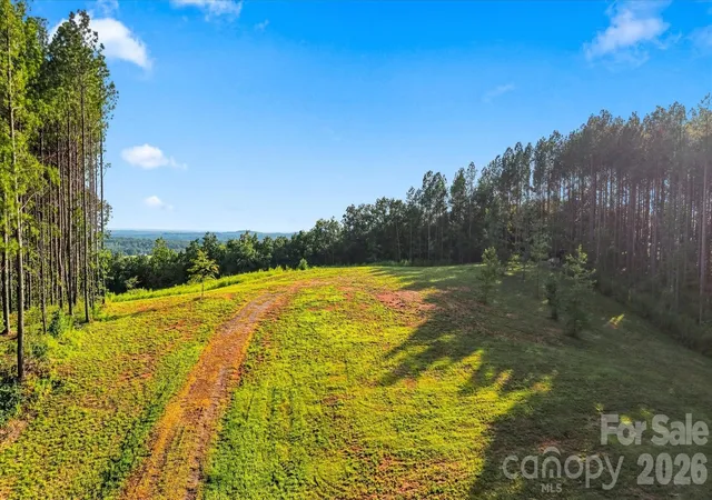 3rd image of 0 Moore Mountain Ln #1, Ellenboro, NC 28040 | MLS# 4416088