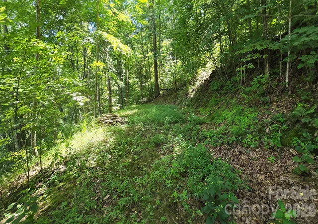 5th image of 310 High Cliff Dr, Waynesville, NC 28786 | MLS# 4416152
