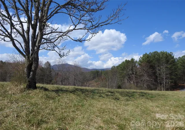 3rd image of 00 Laurel Lakes Pkwy #Lot 1, Lake Lure, NC 28746 | MLS# 4416222