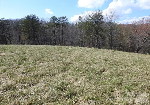 4th image of 00 Laurel Lakes Pkwy #Lot 1, Lake Lure, NC 28746 | MLS# 4416222