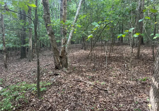 Photo 2 of Land for sale at 75 Acres Old Camden Monroe Hwy, Lancaster, SC 29720 | MLS# 4416245 | Listing updated on 2026-09-24