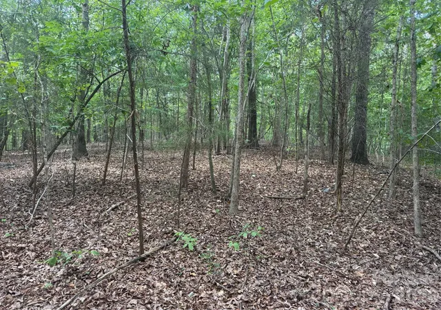 Photo 3 of Land for sale at 75 Acres Old Camden Monroe Hwy, Lancaster, SC 29720 | MLS# 4416245 | Listing updated on 2026-09-24