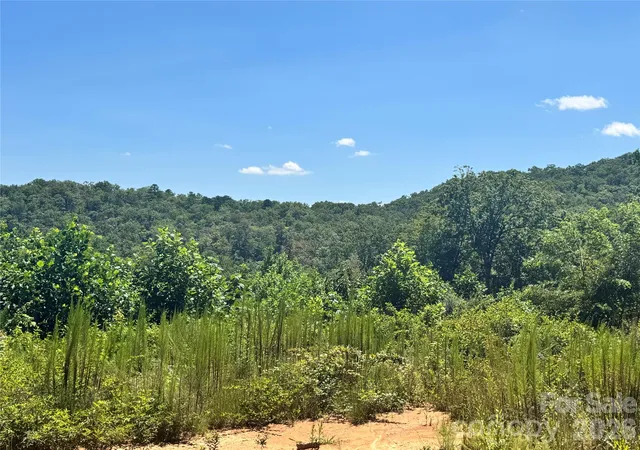 44th image of 567 Davey Branch Rd, Horse Shoe, NC 28742 | MLS# 4416330