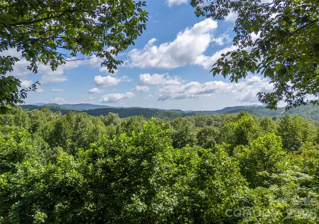 48th image of 837 Big Raven Ln, Saluda, NC 28773 | MLS# 4416376