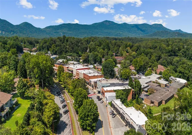 47th image of 103 Hyde Ave, Tryon, NC 28782 | MLS# 4416378