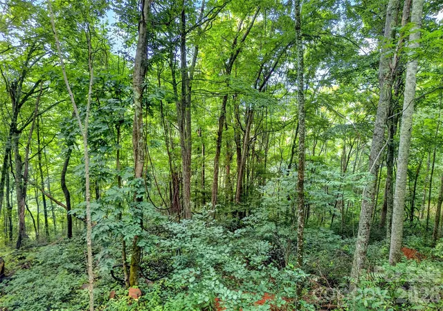 Photo 4 of Land for sale at North 226 Hwy #26/27, Bakersville, NC 28705 | MLS# 4416388 | Listing updated on 2026-08-24