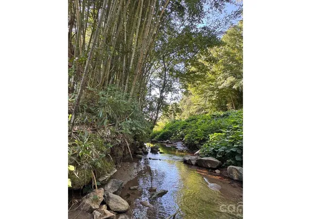 30th image of 3625 Nc Hwy 18 S, Morganton, NC 28655 | MLS# 4416491
