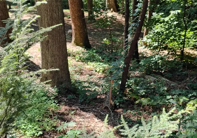 3rd image of 99999 Balsam Ct #12B, Arden, NC 28704 | MLS# 4416505