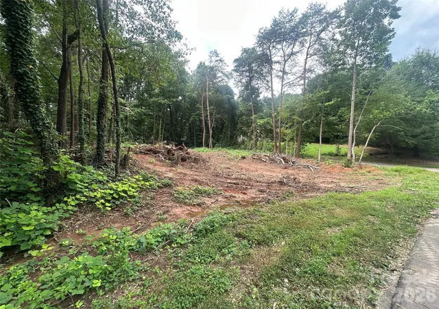 Photo 4 of Land for sale at 0 Executive Cir, Denver, NC 28037 | MLS# 4416688 | Listing updated on 2026-09-03