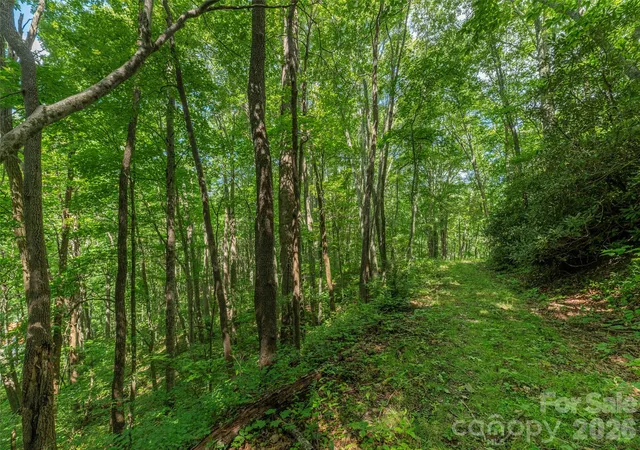 2nd image of 132 Grouse Rd #131, 132, 133, 134, Clyde, NC 28721 | MLS# 4416724