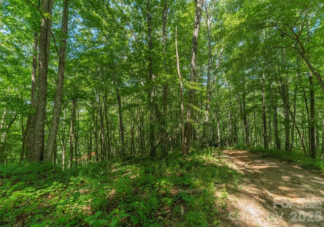 Photo 3 of Land for sale at 132 Grouse Rd #131, 132, 133, 134, Clyde, NC 28721 | MLS# 4416724 | Listing updated on 2026-08-20