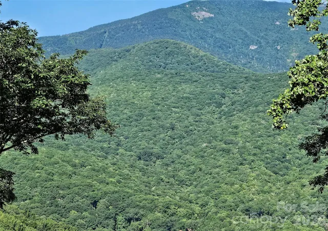 Photo 3 of Land for sale at 109 Big Ridge Rd #109, Burnsville, NC 28714 | MLS# 4416741 | Listing updated on 2026-10-02