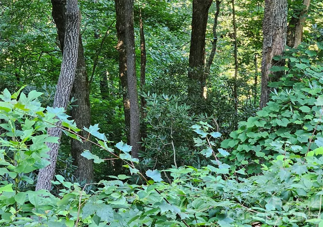 Photo 4 of Land for sale at 109 Big Ridge Rd #109, Burnsville, NC 28714 | MLS# 4416741 | Listing updated on 2026-10-02
