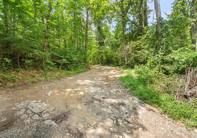 20th image of 99999 Mid Court Dr, Asheville, NC 28804 | MLS# 4416746