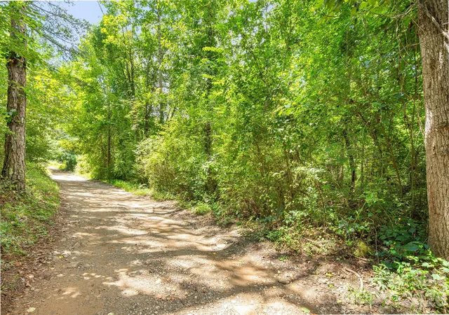 5th image of 99999 Mid Court Dr, Asheville, NC 28804 | MLS# 4416746
