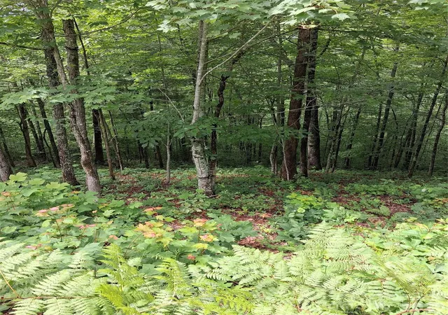 Photo 1 of Land for sale at Tbd Preservation Trl #47, Sylva, NC 28779 | MLS# 4416817 | Listing updated on 2026-09-03