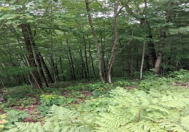 Photo 3 of Land for sale at Tbd Preservation Trl #47, Sylva, NC 28779 | MLS# 4416817 | Listing updated on 2026-09-03