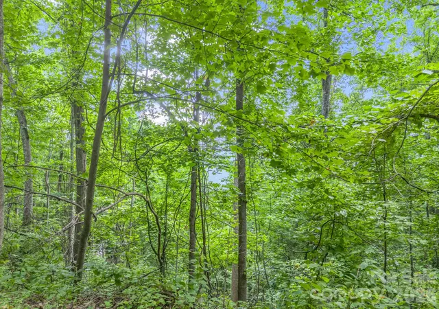 Photo 12 of Land for sale at 99999 Crestview Dr #A11, Black Mountain, NC 28711 | MLS# 4416854 | Listing updated on 2026-08-31
