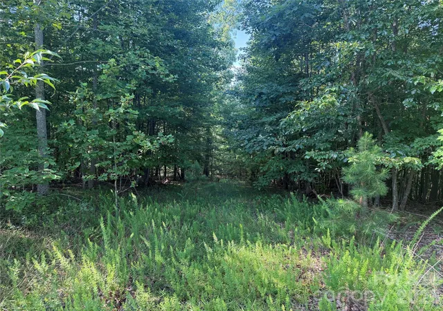 2nd image of V/l Scenic Vista Dr #332/333, Nebo, NC 28761 | MLS# 4416857