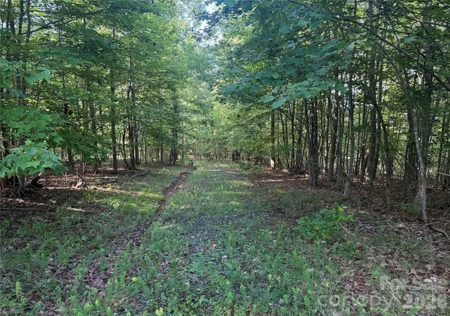 3rd image of V/L Scenic Vista Dr #332/333, Nebo, NC 28761 | MLS# 4416857
