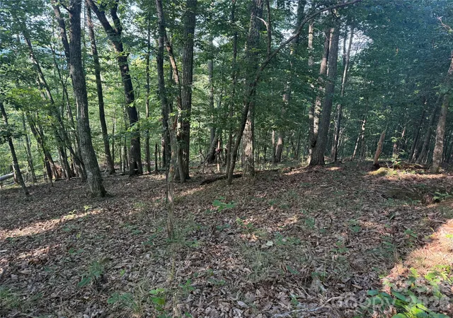 4th image of V/L Scenic Vista Dr #332/333, Nebo, NC 28761 | MLS# 4416857