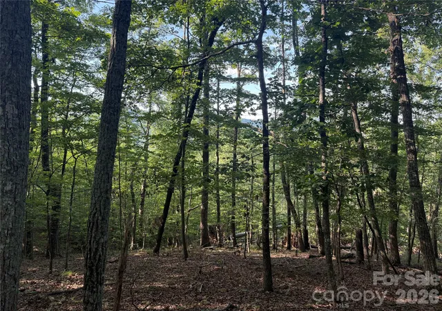 5th image of V/L Scenic Vista Dr #332/333, Nebo, NC 28761 | MLS# 4416857