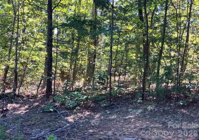 17th image of 00 Tyler Ter #Lot 11, Rutherfordton, NC 28139 | MLS# 4417032