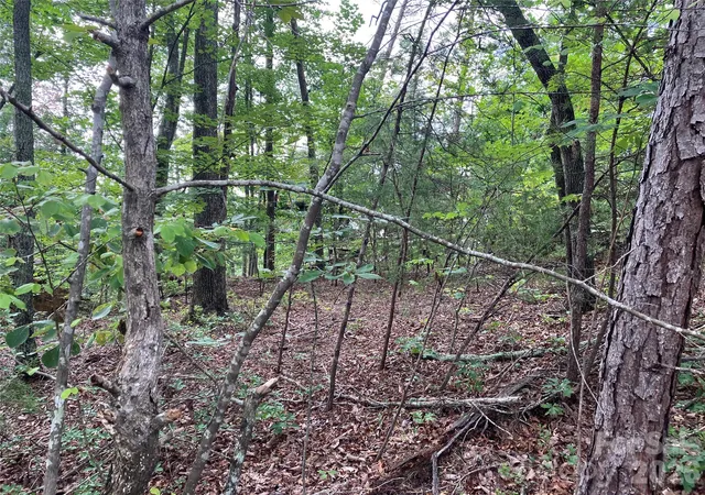 3rd image of 00 Tyler Ter #Lot 11, Rutherfordton, NC 28139 | MLS# 4417032