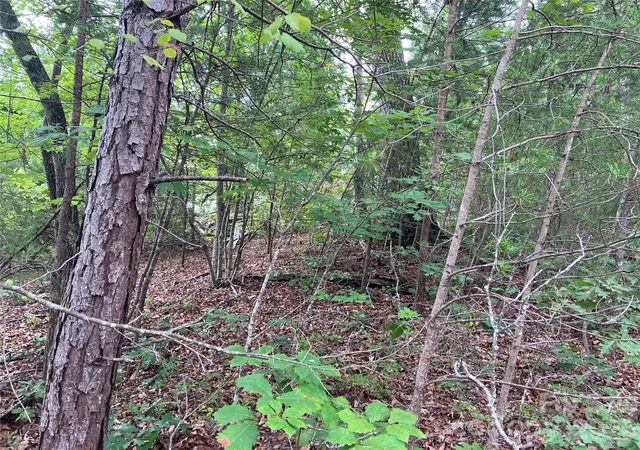 4th image of 00 Tyler Ter #Lot 11, Rutherfordton, NC 28139 | MLS# 4417032