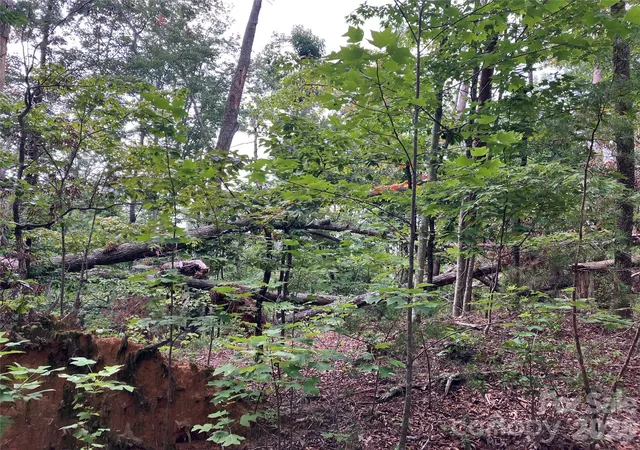 5th image of 00 Tyler Ter #Lot 11, Rutherfordton, NC 28139 | MLS# 4417032