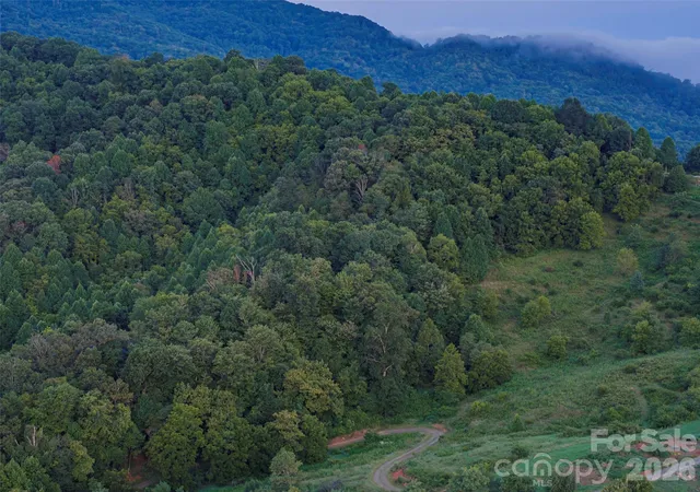 23rd image of 99999 Cleves Dr, Candler, NC 28715 | MLS# 4417099