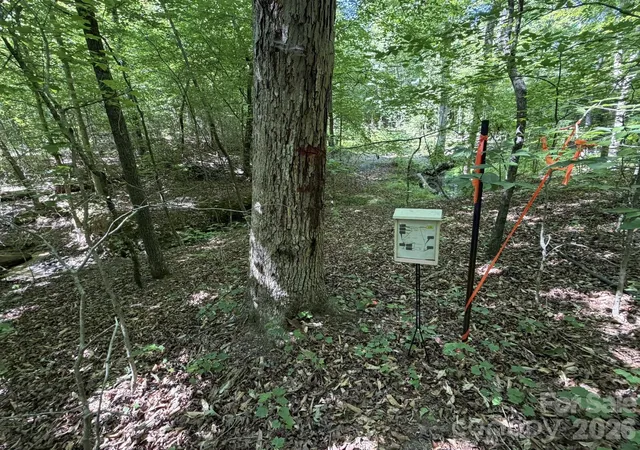 4th image of 000 Alexis High Shoals Rd, Dallas, NC 28034 | MLS# 4417189
