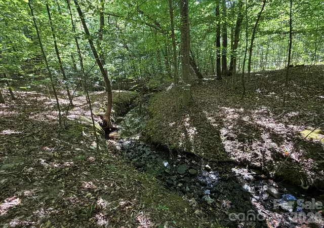5th image of 000 Alexis High Shoals Rd, Dallas, NC 28034 | MLS# 4417189