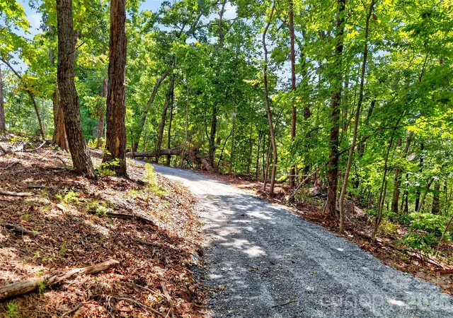 3rd image of 000 Buffalo Shoals Rd, Lake Lure, NC 28746 | MLS# 4417287