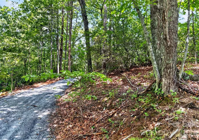 4th image of 000 Buffalo Shoals Rd, Lake Lure, NC 28746 | MLS# 4417287