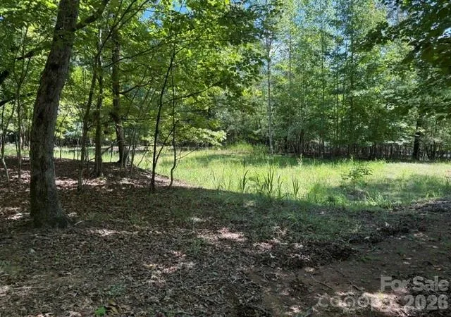 11th image of 00 Elliott Dr #51, Rutherfordton, NC 28139 | MLS# 4417296