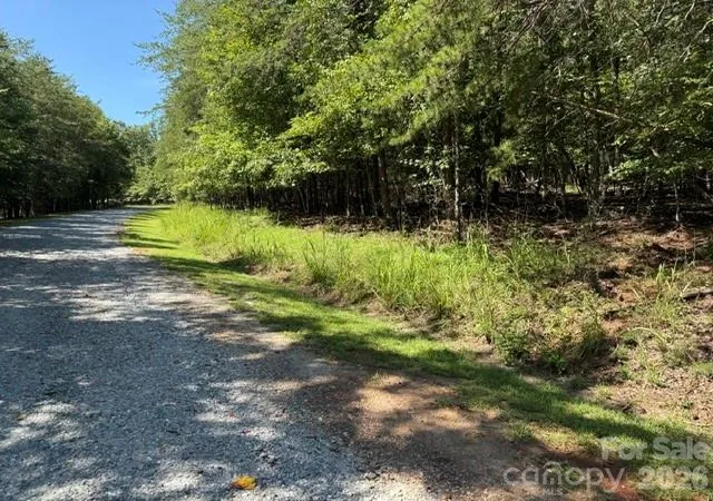 3rd image of 00 Elliott Dr #51, Rutherfordton, NC 28139 | MLS# 4417296