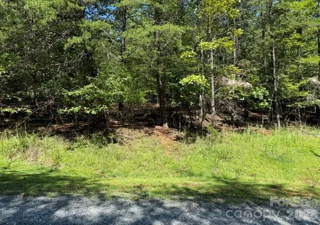 4th image of 00 Elliott Dr #51, Rutherfordton, NC 28139 | MLS# 4417296